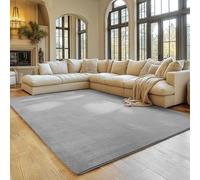 SIMPEX Tapis Argent 240x340 cm Tapis à Poils Courts Lavable, Doucement Antidérapant et Design Monochrome Moderne pour Salon, Chambre, Cuisine et Chambre d'enfant