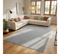 SIMPEX Tapis Lavable 160x230 cm Argent Moderne Uni Poils Courts Doux Antidérapant Lavable en Machine pour Salon Chambre Salle à Manger
