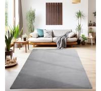 SIMPEX Tapis Lavable à Poils Courts 120x170 cm Gris Moderne