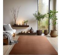 SIMPEX Tapis Lavable à Poils Courts 240x340 cm Marron Moderne