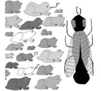 Simple Guide To Small & Medium Pond Life