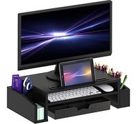 Simple Houseware Support de Moniteur de Bureau avec Plateau de Rangement réglable, Noir