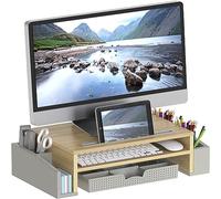 Simple Houseware Support de Moniteur de Bureau avec Plateau Organisateur réglable