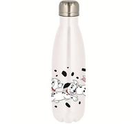 Simple Metal Bottle-Disney Dalma