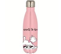 Simple Metal Bottle-Disney Marie