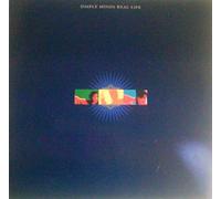 Simple Minds - Real Life