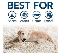 Simple Solution Dissolvant Extrême De Taches Et D'odeurs D'animaux Domestiques | Nettoyant Enzymatique Avec Pouvoir Nettoyant 3X