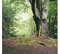 Vari-Will Saul - Will Saul-Simple Sounds [Import]