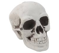 SimpleLife Plastique Humain Mini Crâne Décor Prop Squelette Tête Halloween Cafés Ornement
