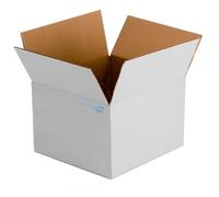 SIMPLETEK - Boîte en carton blanc renforcée à double vague 270 x 510 x 540 mm KBSFSK24242