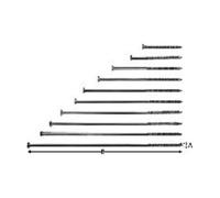 SIMPSON Strong-Tie Sparrennagel 6,0X210 Diamètre 6mm Longueur 210mm électrozingué Non trempé Quantité:50