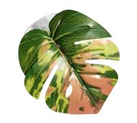 Simulated Leaf - 11x10x1cm PP Jumping Spider, Pets Supplies, Jumping Spider Accessories | Realistic Leaf Design With Suction Cup For Plants, Terrarium, Snake Grow, Carpet, Hermit Crab, Egg