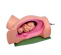 Simulateur D'Accouchement-ModèLe D'Accouchement FéMinin en PVC ModèLes De DéMonstration De L'Accouchement Comprenant Le BéBé Et L'UtéRus Outils PéDagogiques pour L'éTude Et La PréSentation
