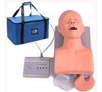 Simulateur De Formation À La Gestion Des Voies Respiratoires Chez L'adulte, Outil De Simulation D'intubation Pour L'enseignement Médical En Laboratoire PVC Adulte A