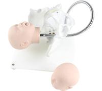 Simulateur de formation à la sage-femme en PVC, démonstration d'accouchement, modèle de fœtus et de bassin féminin, mannequin d'accouchement en position fœtale normale et anormale, modèle pédagogique