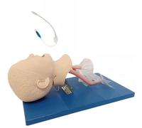 Simulateur de formation à l'intubation trachéale for la gestion des voies respiratoires en laboratoire - Modèle de formation à l'enseignement pratique Modèle enfant