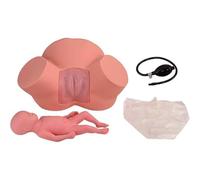 Simulateur de formation de l'accouchement, mannequin d'accouchement de position du fœtus pour présentation pelvienne normale et anormale, outil éducatif pour le travail et la formation à la naissance