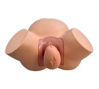 Simulateur de Formation de Sage-Femme, démonstration d'accouchement, modèle de fœtus pelvien féminin, Position fœtale anormale Normale, Mannequin d'accouchement, modèle d'enseignement