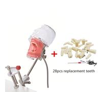 Simulateur De Formation Dentaire,Modèle De Tête Simple,Tête Fantôme De Mannequin Pour L'éducation Du Dentiste,Appareil Fuchsia De Dentiste,Buccal - Type A