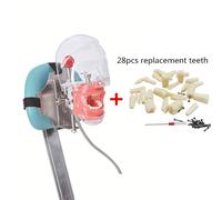 Simulateur De Formation Dentaire,Modèle De Tête Simple,Tête Fantôme De Mannequin Pour L'éducation Du Dentiste,Appareil Fuchsia De Dentiste,Buccal - Type B