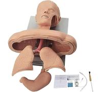 Simulateur de gestion des voies respiratoires - Mannequin d'intubation for la formation médicale avec système d'alarme