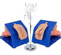 Simulateur de lavement de cathétérisme urétral, mannequin génital masculin et féminin pour l'entraînement des compétences médicales et les aides pédagogiques