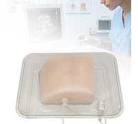 Simulateur de Ponction Hépatique Échoguidée, Modèle de Formation PTCD avec Voies Biliaires et Système Vasculaire, Fantôme de Biopsie Hépatique pour l'éducation Médicale