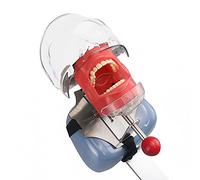 Simulateur dentaire Nissin Tête fantôme Dental Phantom Head Modèle Banc pour l'éducation des dentistes