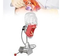 Simulateur dentaire pour entraînement - Modèle de tête de simulateur de bouche pour instruction pratique Tête fantôme d'émulation 1:1 pour l'éducation dentaire