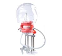 Simulateur dentaire réaliste, joues, tête amovible à 360 degrés, dents artificielles pour l'enseignement des écoles dentaires A