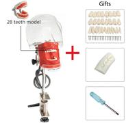 Simulateur Dentaire Tête Fantôme Avec Dents,Modèle De Tête Simple,Utilisation Pour Dentiste,Mannequin D'entraînement,Fuchsia - Type Dental Phantom 2