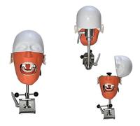 Simulateur dentaire, tête fantôme, modèle de tête bionique de stomatologie grandeur nature pour les écoles dentaires, démonstration pratique A