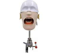 Simulateur dentaire, tête fantôme, modèle grandeur nature, avec dents, modèle de tête d'entraînement, rotatif à 360 degrés, matériel pédagogique pour dentistes A