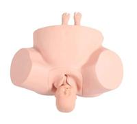 Simulateur d'entraînement en obstétrique et gynécologie, modèle de démonstration avancé pour l'éducation médicale et l'apprentissage des sages-femmes