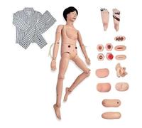 Simulateur Patient 170 Cm, Modèle De Pratique Pour Formation Infirmière | Ponction Veineuse, Sondage Urinaire, Soins Respiratoires Plaies, Articulations Mobiles, Étudiants, Laboratoire