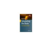 Simulating The Brain