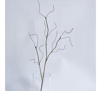 Simulation Branche de vigne pour la vente au détail, présentoirs visuels, accessoires de photographie de produits et photos de catalogue