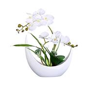 Simulation de fleurs artificielles phalaenopsis avec ensemble de vase, faux pot de fleur artificielle hôtel de la fleur de soie de fleur de fleurs, décoration de fleurs en céramique, pot à fleurs en