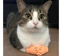 Simulation De La Paume Et Des Doigts D'alien, Jouets Amusants, Nouveaux Et Étranges Pour Enfants, Costume De Fête, Cadeau W9z1