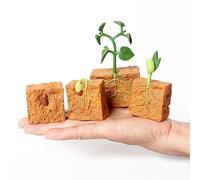Simulation Du Cycle De Vie D'Une Plante De Haricot Vert, 4 Pièces, Collection De Modèles, Jouets Éducatifs Scientifiques Pour Enfants