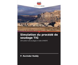 Simulation du procédé de soudage TIG