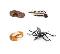 Simulation Du Processus De Croissance Des Animaux, Insecte Moustique Escargot Fourmi Mantis Cycle De Croissance Modèle D'Éducation Pour Enfants