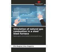 Simulation of natural gas combustion in a steel blast furnace: Metallurgical, environmental, and production focus