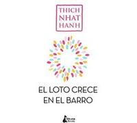 Sin Barro No Crece El Loto Nhat Hanh, Thich (Auteur)