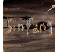 Sin Fang - Landslide [Import]