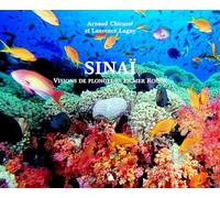 Sinaï. Visions de plongeurs en mer Rouge