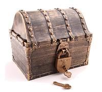 Sincere Party Grande boîte de rangement portable en plastique bronze avec 2 verrous et 4 clés 16 x 12 x 13,3 cm