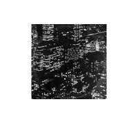 Sincerely, Future Pollution Vinyle