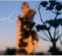 Sindri - Under an Attack Waiting to Happen