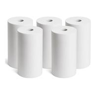 SINEA Lot de 5 cartouches filtre eau BIG BLUE, 25 microns 10 pouces, fabriqué en France, filtre anti calcaire, capture les sédiments, élimine les impuretés